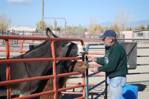 Black Bart and Jiminy Cricket enjoying carrots