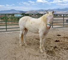 Estrella-2-Canon--7-15-07