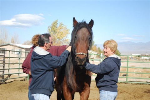 Lokie with volunteers