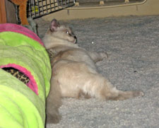 Ms.Overhouse-II-Canon--10-2