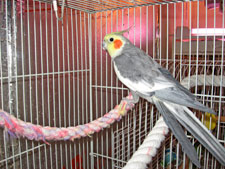 Willie-C-2-Canon--3-10-08